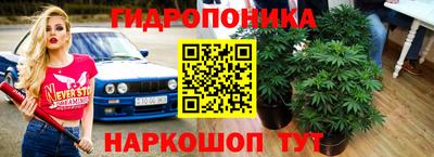 apvp Иваново